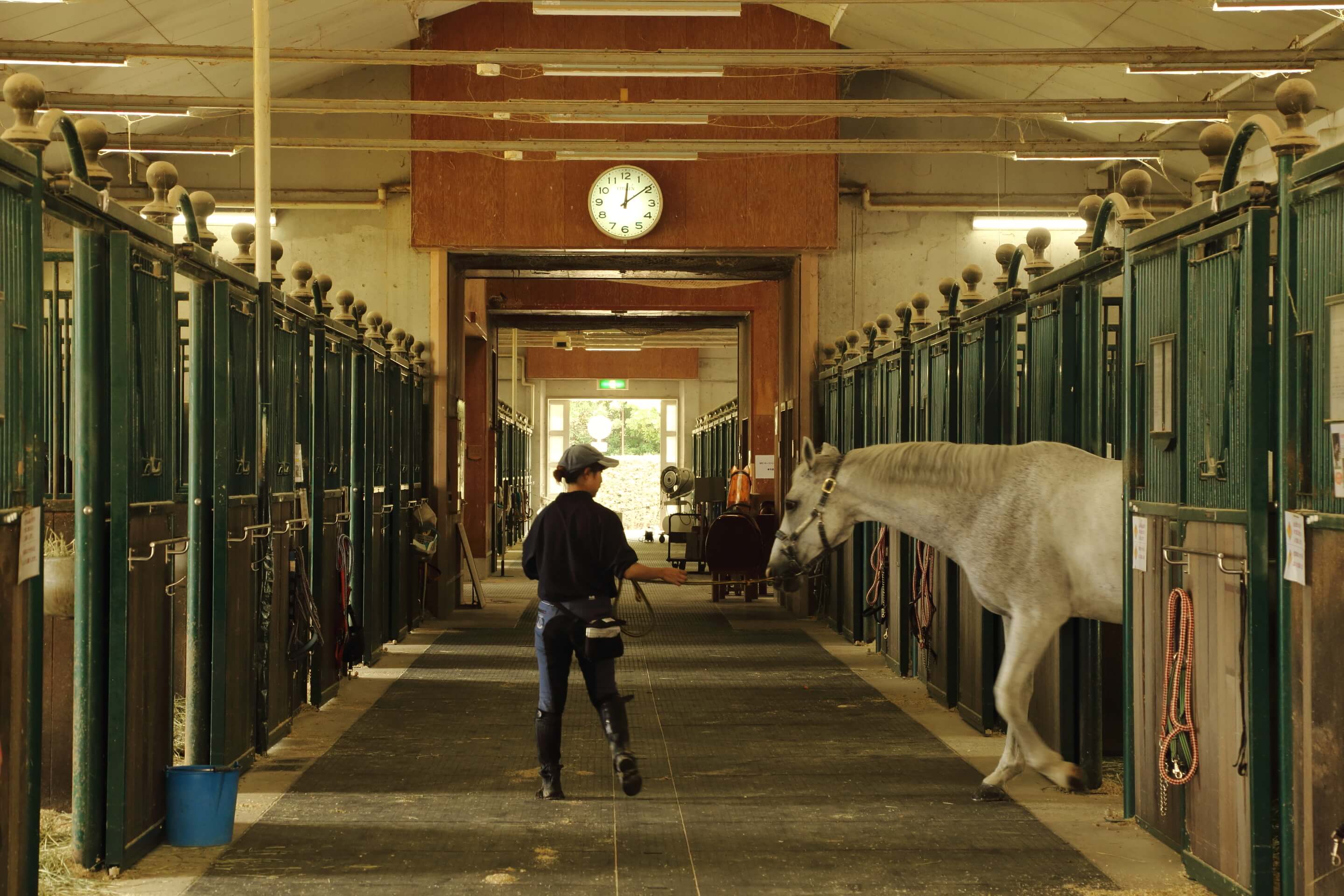兵庫県神戸の乗馬クラブmikiホーストレック 安心の乗馬体験 教室
